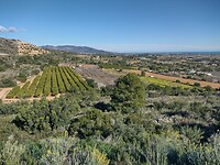 IMG_20250202_143931981_HDR