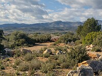 IMG_20250202_151938777_HDR