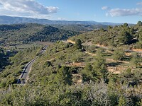 IMG_20250202_162135235_HDR