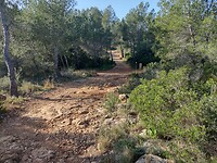 IMG_20250203_103829377_HDR