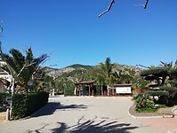 IMG_20250203_125529009
