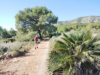 IMG_20250203_131028287