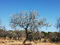 IMG_20250203_131729151