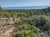 IMG_20250203_132107259_HDR