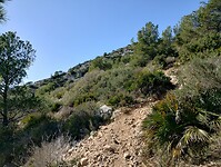 IMG_20250203_133040868_HDR