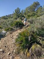 IMG_20250203_133056607_HDR