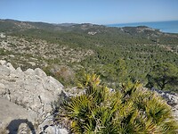 IMG_20250203_133631058_HDR