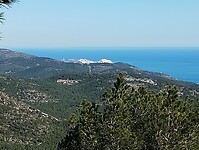 IMG_20250203_141343524