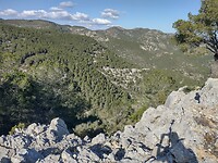 IMG_20250203_141439612_HDR
