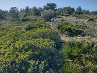 IMG_20250203_141634246_HDR
