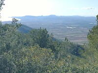 IMG_20250203_143211925