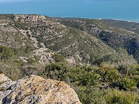 IMG_20250203_143723542_HDR