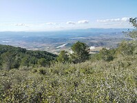 IMG_20250203_144020839