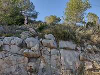 IMG_20250203_150020883_HDR
