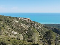IMG_20250203_152000955