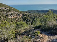 IMG_20250203_155636917_HDR