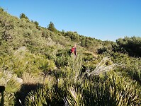 IMG_20250203_164408394