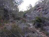 IMG_20250203_163606108
