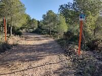 IMG_20250204_103744134_HDR