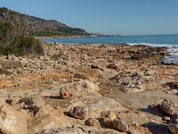 IMG_20250204_110859377_HDR