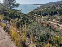IMG_20250204_112746293_HDR