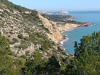 IMG_20250204_113025343