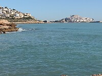 IMG_20250204_114647187