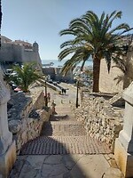 IMG_20250204_132412364_HDR