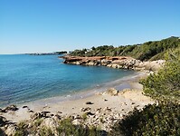IMG_20250205_104001284