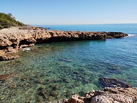 IMG_20250205_104724608