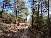 IMG_20250205_105008464_HDR
