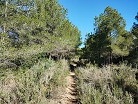 IMG_20250205_105458125