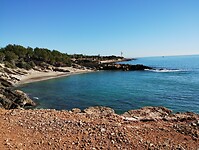 IMG_20250205_111052344