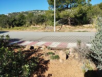 IMG_20250205_111500749