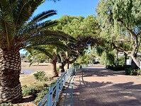 IMG_20250205_112343539_HDR