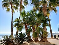 IMG_20250205_114309670_HDR