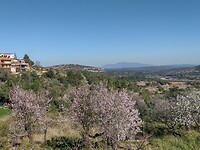 IMG_20250205_130606713_HDR