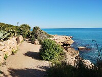 IMG_20250205_145404581