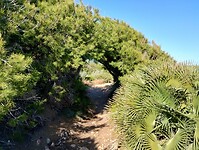 IMG_20250205_145605634_HDR