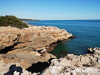 IMG_20250205_145709679