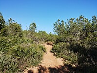 IMG_20250205_145942361