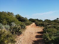 IMG_20250207_130007399