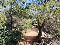IMG_20250207_131905890