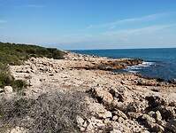 IMG_20250207_132309444