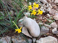 IMG_20250207_134521919
