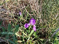 IMG_20250207_135305615_HDR