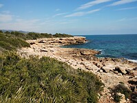 IMG_20250207_135427553