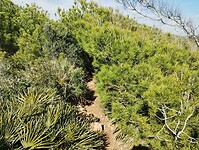 IMG_20250207_135444971