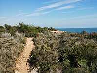 IMG_20250207_135542807