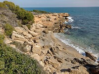 IMG_20250207_140300830_HDR